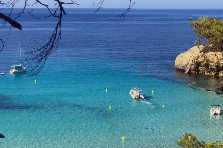 a group of people swimming in a body of water